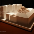 Museum of Anatomy_02.JPG