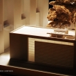 Museum of Anatomy_05.jpg
